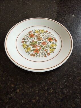 Vintage Corelle Indian Summer luncheon Plate set of 2